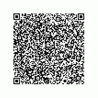 vCard 78113190031