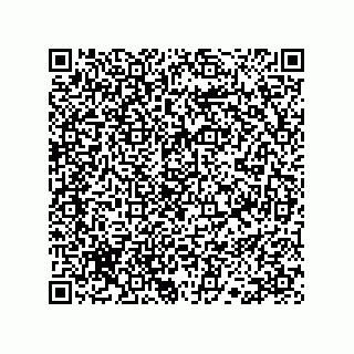 vCard 78113190032