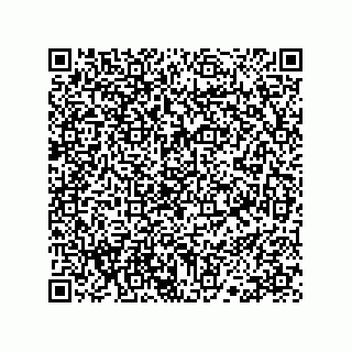 vCard 78113190035