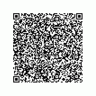 vCard 78113190036
