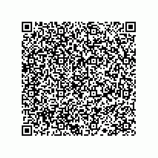 vCard 78113190037