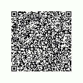 vCard 78113190038