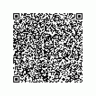 vCard 78113190040