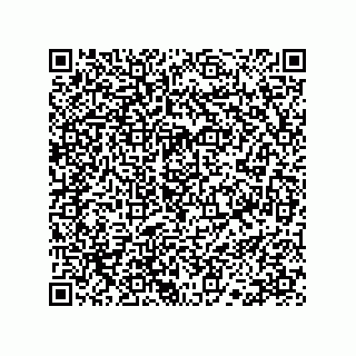 vCard 78113190041
