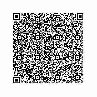 vCard 78113190042