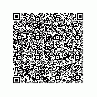 vCard 78113190049