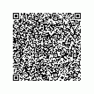 vCard 78113190061