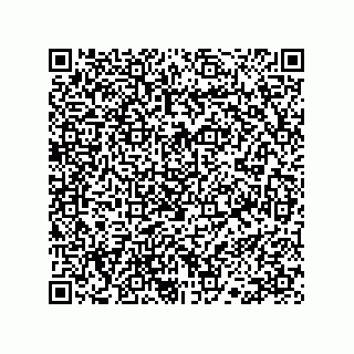 vCard 78113190065
