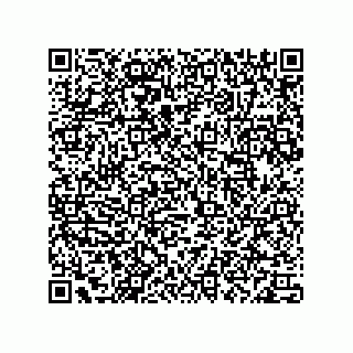 vCard 78113190066