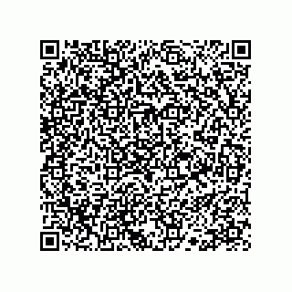 vCard 78113190070