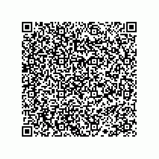 vCard 78113190071