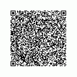vCard 78113190072