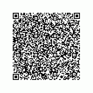 vCard 78113190073