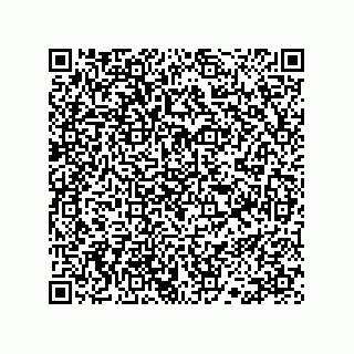 vCard 78113190074