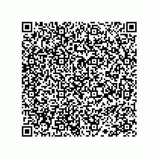 vCard 78113190077