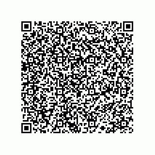 vCard 78113190081