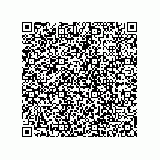 vCard 78113190087