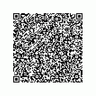 vCard 78113190088