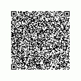 vCard 78113190089