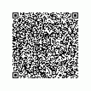 vCard 78113190091