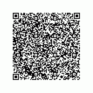 vCard 78113190092