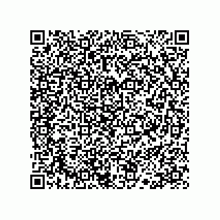 vCard 78113190093