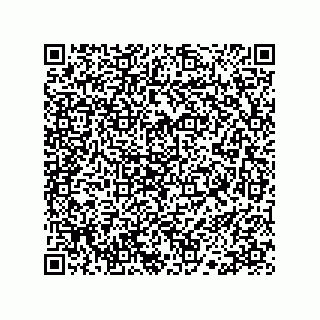 vCard 78113190095