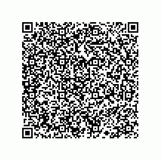 vCard 78113190096