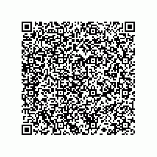 vCard 78113190098