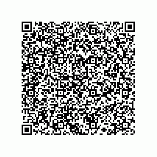 vCard 78113190099