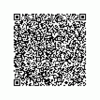 vCard 78113190100