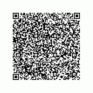 vCard 78113190101