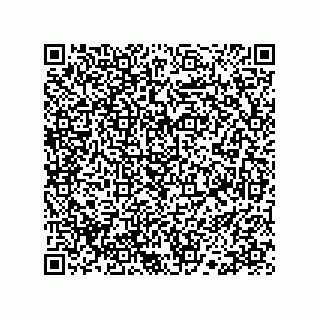 vCard 78113190106