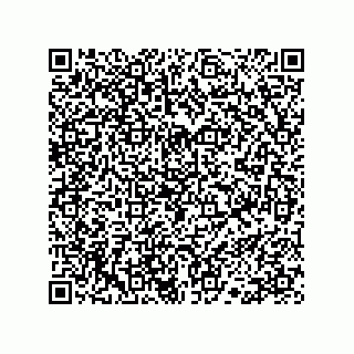 vCard 78113190119