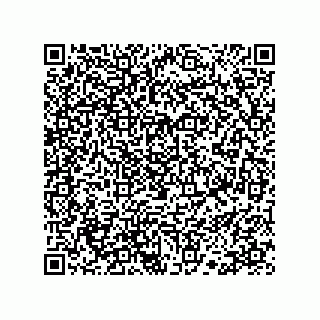vCard 78113190121