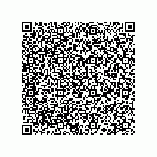 vCard 78113190127