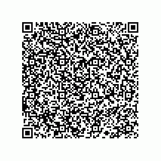 vCard 78113190128