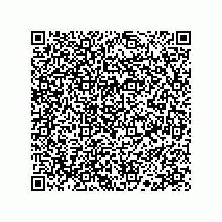 vCard 78113190131