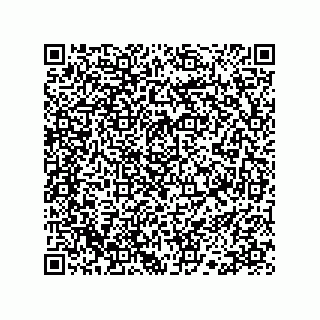 vCard 78113190132