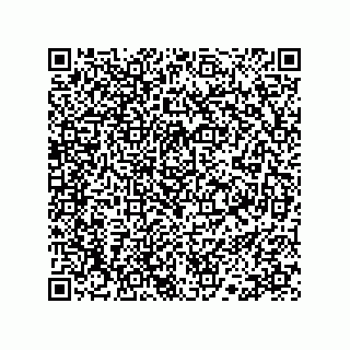 vCard 78113190133