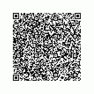 vCard 78113190137