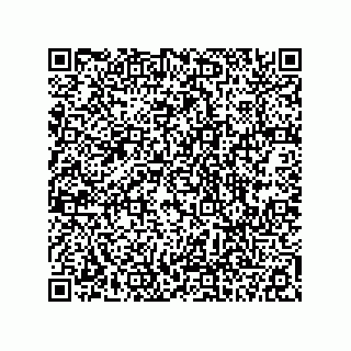 vCard 78113190139
