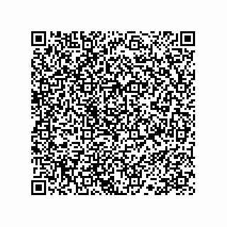 vCard 78113190140