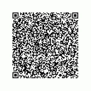 vCard 78113190141