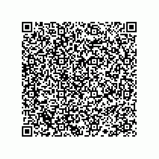 vCard 78113190142