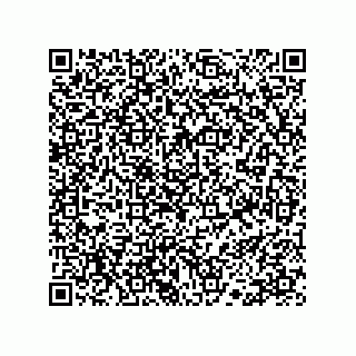 vCard 78113190145