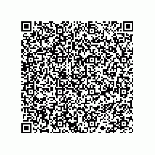 vCard 78113190149