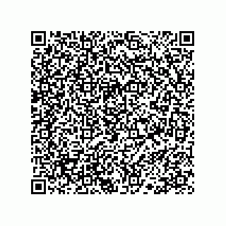 vCard 78113190151