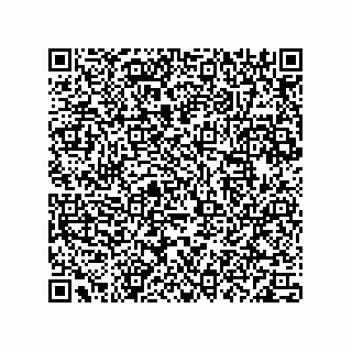 vCard 78113190160