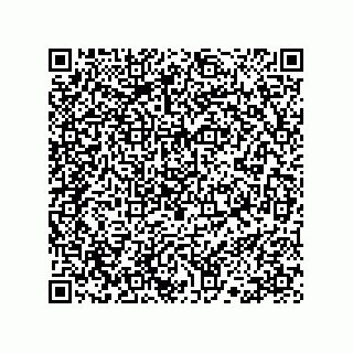 vCard 78113190161
